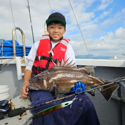 オオクチイシナギの釣果