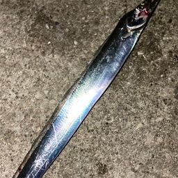 タチウオ