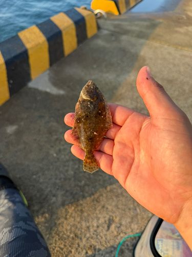 明石海浜公園