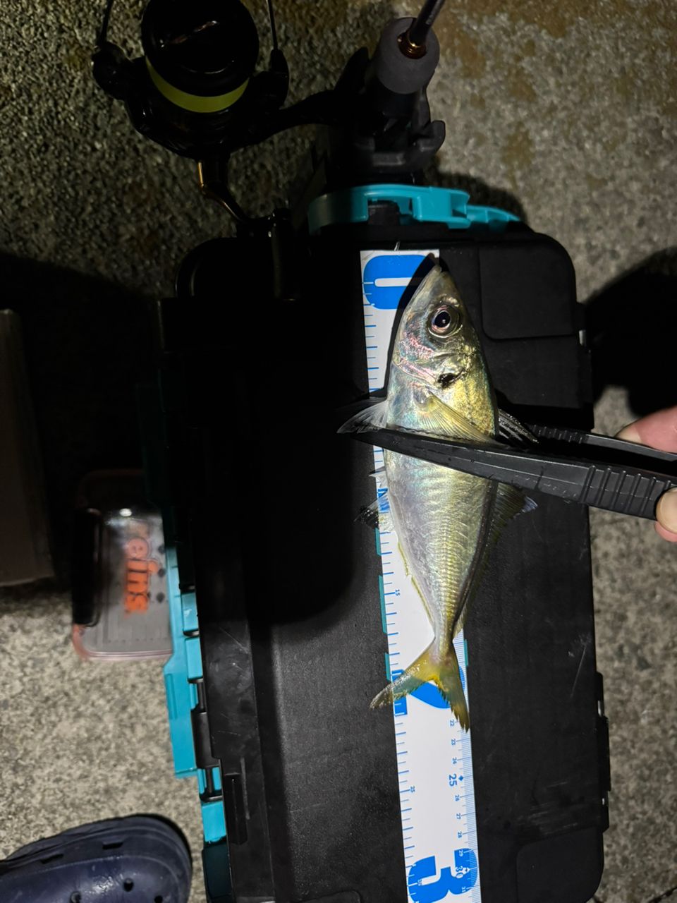 アジ