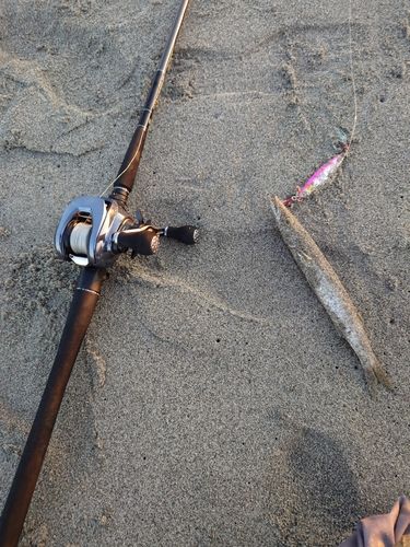 釣果