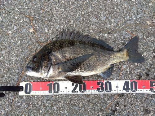 稲毛海浜公園