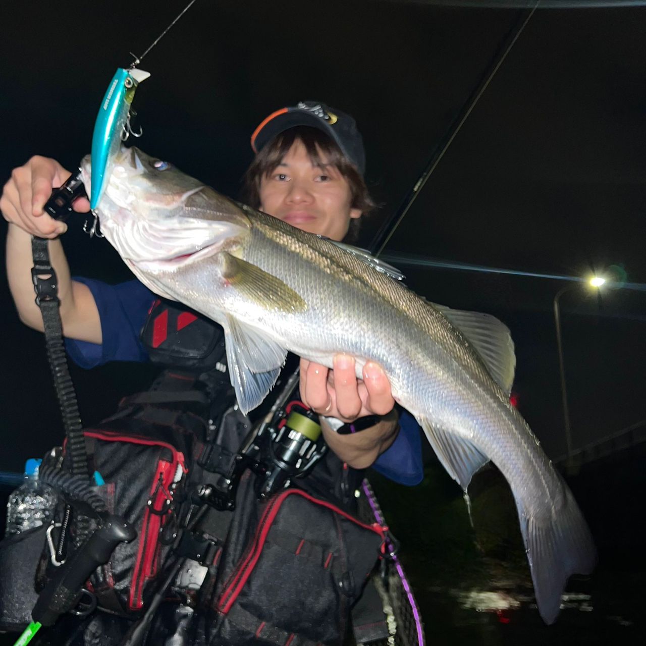 SHIMANO 23ディアルーナ S90MLの最安値・インプレ・釣果 | 本音