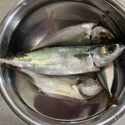 アジ