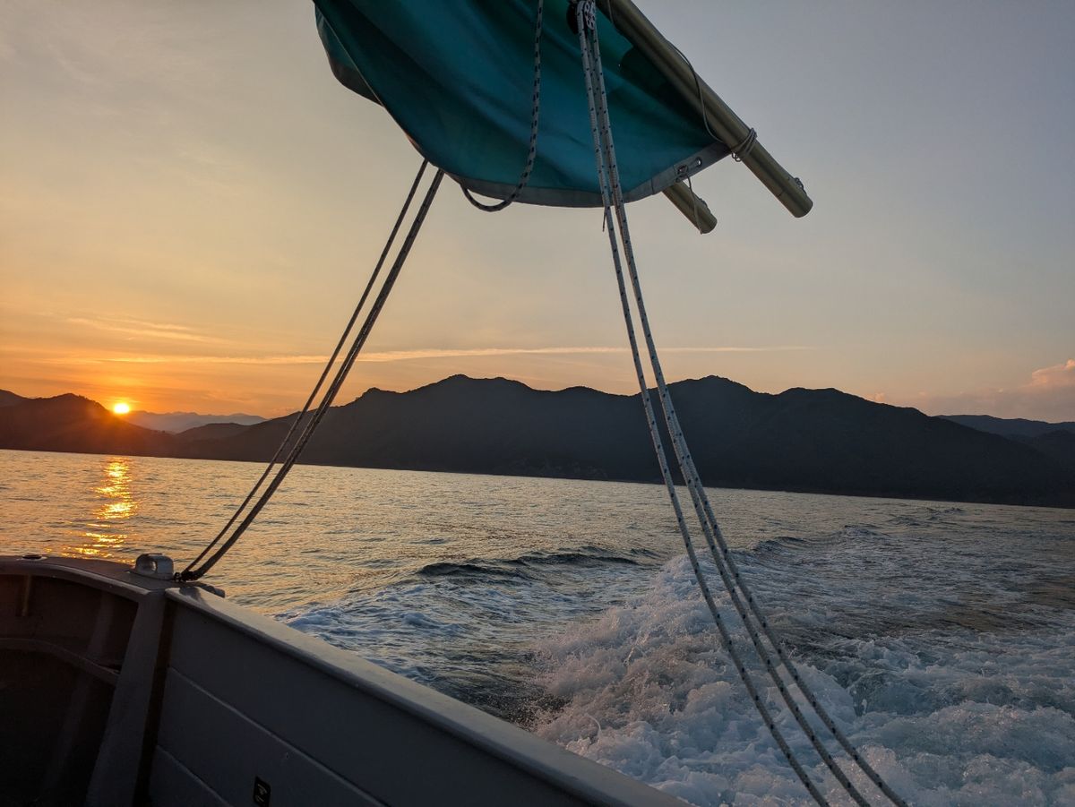 ぼ〜ちゃんFamily🎣さんの釣果 3枚目の画像