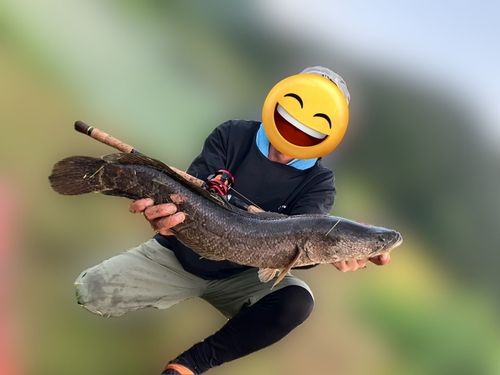 深川湾