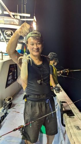 マルイカの釣果