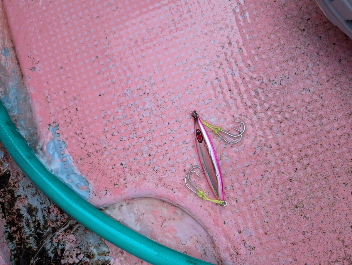 リリースサイズさんの釣果 2枚目の画像