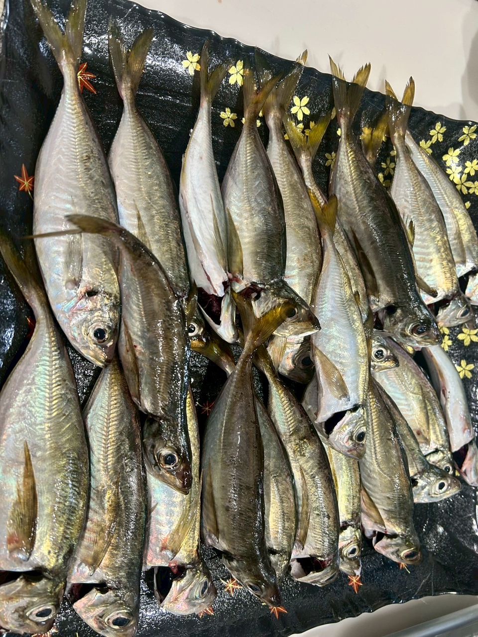 タチウオ