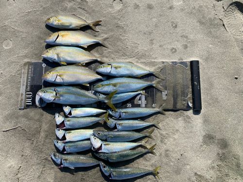 釣果