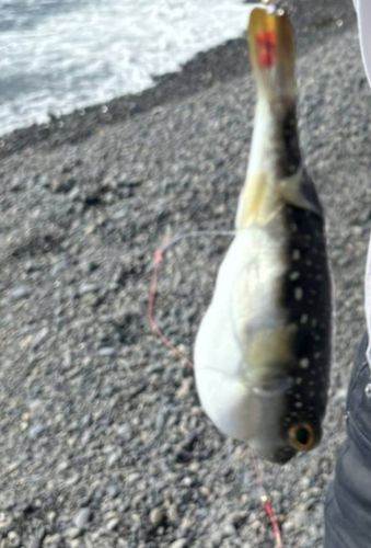 浜当目海岸