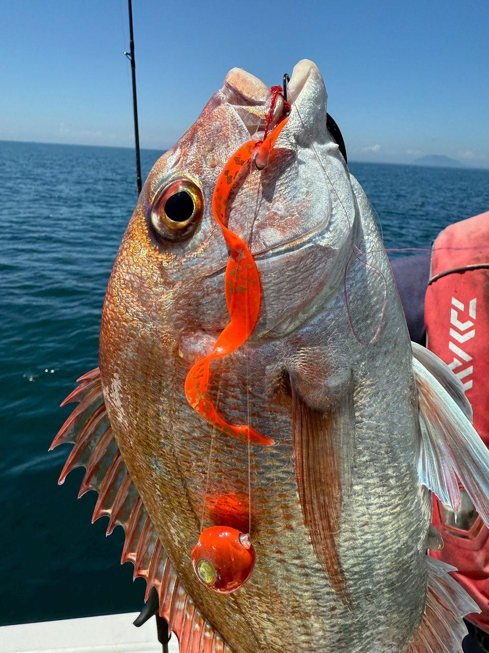 あつあつ釣果記録さんの釣果 3枚目の画像