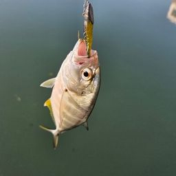 メッキ