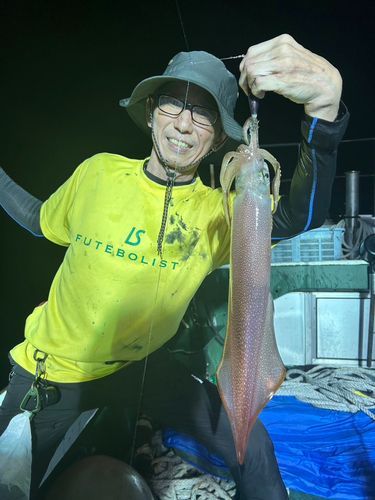 ケンサキイカの釣果