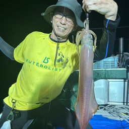 ケンサキイカ