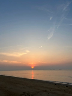 キスの釣果