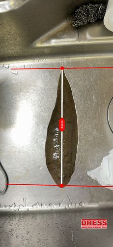 シタビラメの釣果