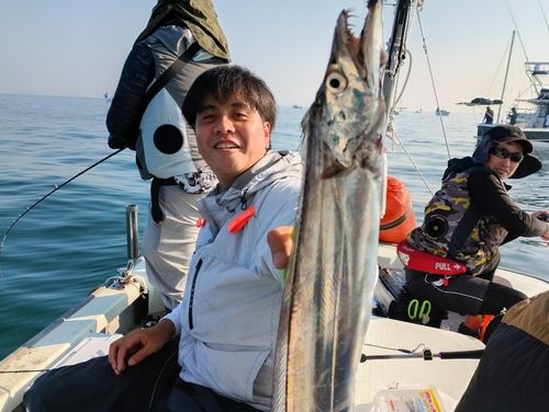 タチウオの釣果