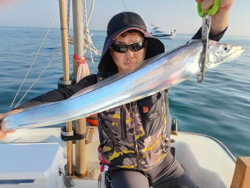 タチウオの釣果