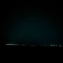 マゴチ