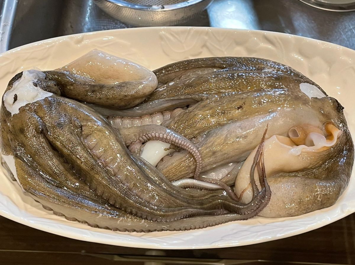 まはりつさんの釣果 2枚目の画像