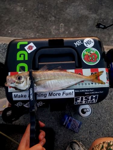 釣果