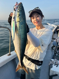 ハマチの釣果