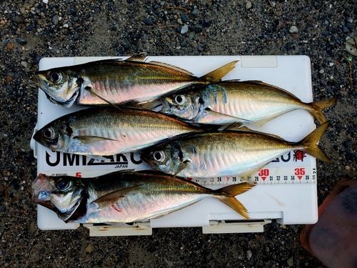 釣果