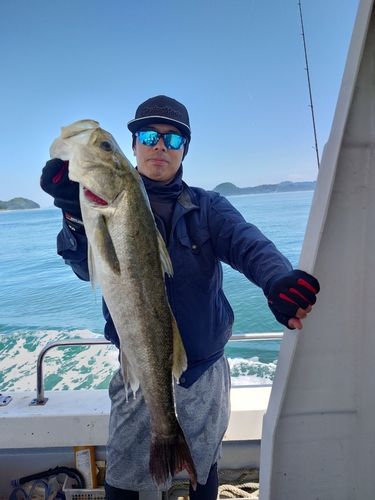 スズキの釣果