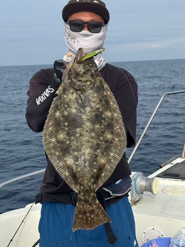 ヒラメの釣果