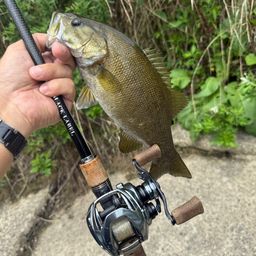 スモールマウスバス