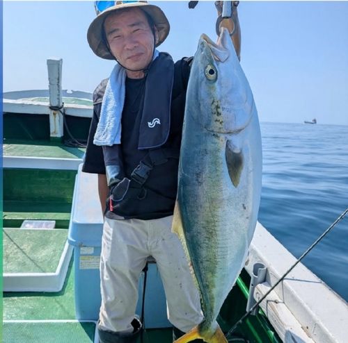 メジロの釣果