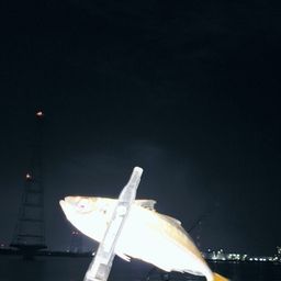 アジ
