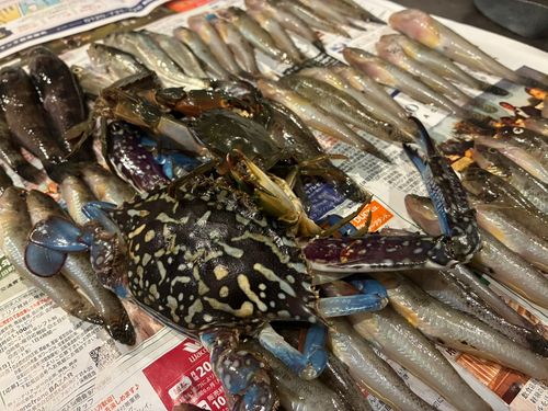一色さかな広場前