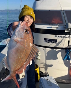 タイの釣果