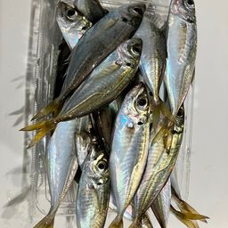 アジ