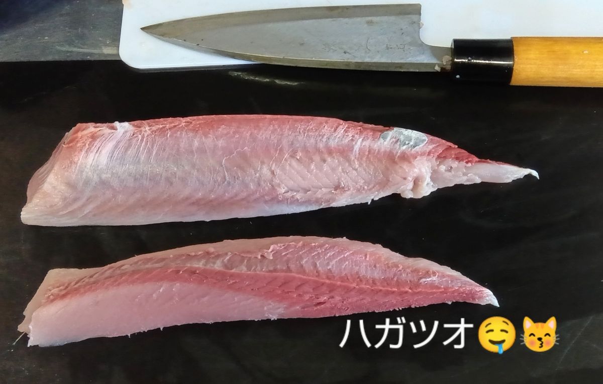 白鹿さん🦌@ 鹿児島さんの釣果 3枚目の画像