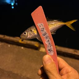 アジ