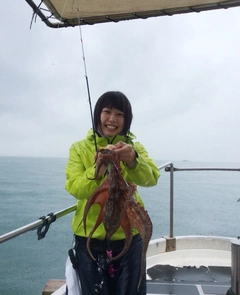 タコの釣果