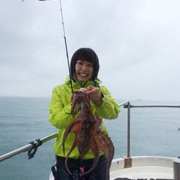 タコ