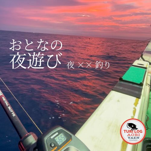 ケンサキイカの釣果