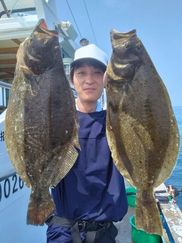 ヒラメの釣果