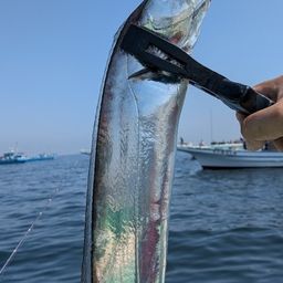 タチウオ