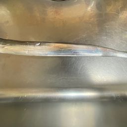 タチウオ