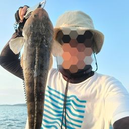 マゴチ