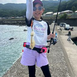 アオリイカ