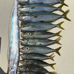 イナダ