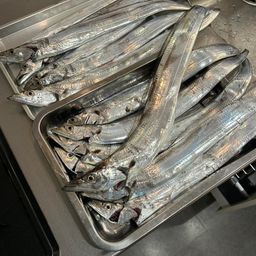 タチウオ
