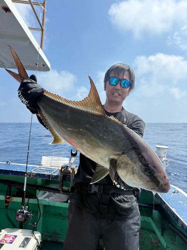 カンパチの釣果