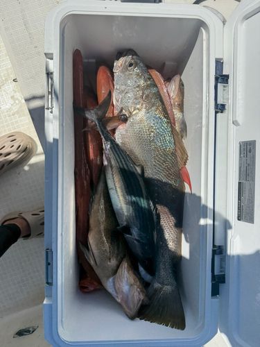 猪串湾